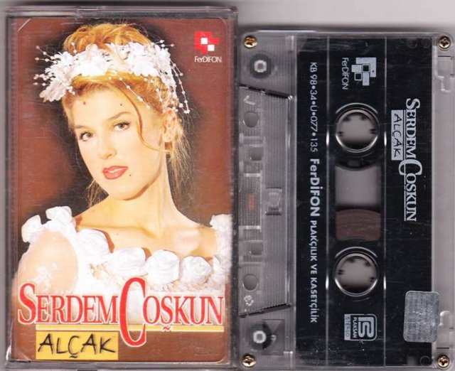 Müstehcen, - galiz ve avam şarkı sözleriyle geziniyorum - ortalıkta. En son bir kadim dostuma gecenin - bilmem kaçında Serdem Coşkun'un ölümsüz - eseri "Alçak"ın nakaratını mesaj atınca, aldığım - "Bilgisayarı bırak ve ellerini yukarı kaldır" emri - üzerine içimi sizlere döküp yaşadığım zulmü - paylaşmaya karar verdim.  -