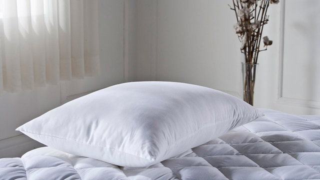 Yastık   -  - Ter kokusu ve vücut yağlarının çok fazla bulaştığı yastıkların yılda iki kez yıkanması gerekiyor. Cilt derilerinin geçtiği yastıkların çok yıkanması da küfe neden olabilir.  -