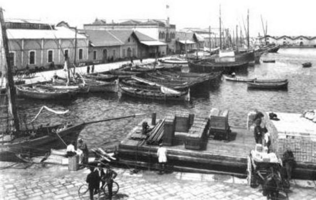 MİLLİ TÜRK FIRKASI - 1919, İstanbul - Kurucu ve Yöneticiler: Ahmet Ferit (Tek), Mehmet Emin (Yurdakul), Ahmet Hikmet (Müftüoğlu), İktisat Müderrisi Zühdü, Yusuf Akçoraoğlu, Dr.Abdülhak Adnan (Adıvar), İsmail Hakkı, Mehmet Emin Bey
