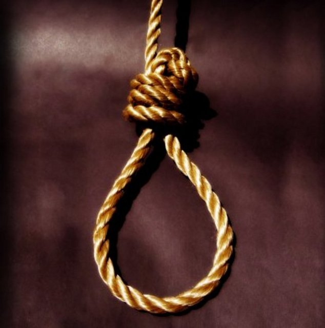 Notta, "Seni incitecek hiçbir şey yapmadım. 5 yıldır beraberiz. Hala nasıl bir insan olduğumu öğrenemedin mi? Küçük Grey'in bir güvercin olması ne kadar kötü. Halbuki o sana benim kim olduğumu anlatabilirdi...