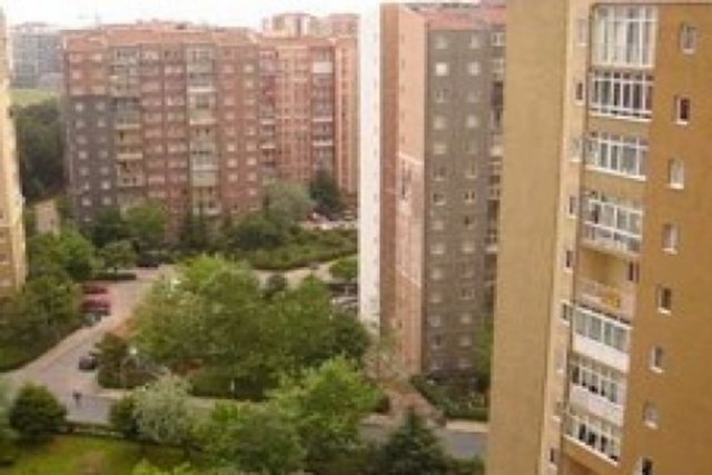 Beylikdüzü/Akasya Sk. | 250(2010) 536(2014)