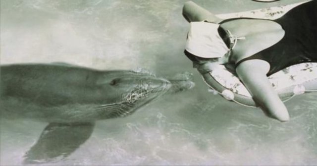 O zamanlar 23 yaşında olan Howe, kendini hayattan soyutlayarak tüm zamanını bu 6 altı yaşındaki yunusla beraber geçirmeye başladı...