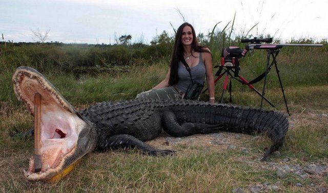 Bachman, silahla öldürdüğü bir aslanla verdiği pozu Twitter hesabında "Güney Afrika'da muhteşem bir gün.