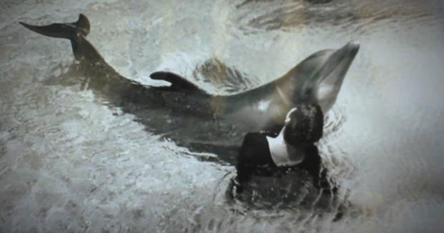 Deney sonrası Miami'ye gönderilen Peter, kısa bir zaman sonra kırık kalp sendromundan öldü. -