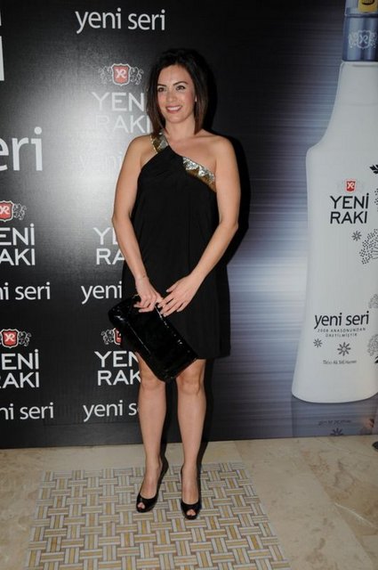 EMEK SARAN