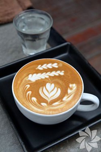 Antoccino: Yüksek kafein oranlı Latte'de denilince daha anlaşılır olan Antoccino 1 ölçek espresso ve az köpüklü süt yardımıyla yapılır.