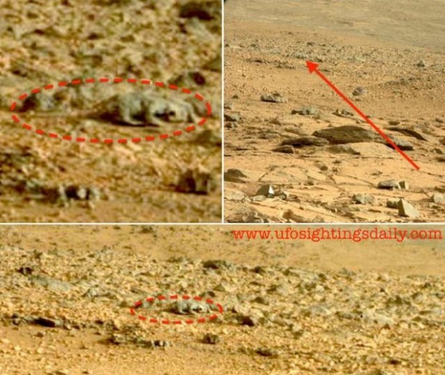 En çok tartışılan fotoğraf: Mars kertenkelesi...