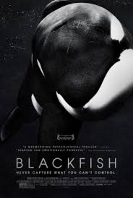 10-Blackfish. Türkiye gösterim tarihi belirsiz