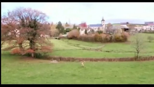 Daha önce de Fransız sunucu Doria Tillier, ülkesinin Ukrayna'yı eleyerek Dünya Kupası'na katılmaya hak kazanması halinde hava durumunu çıplak olarak sunacağı sözünü vermişti. Doria Tillier sözünü tutmuştu.