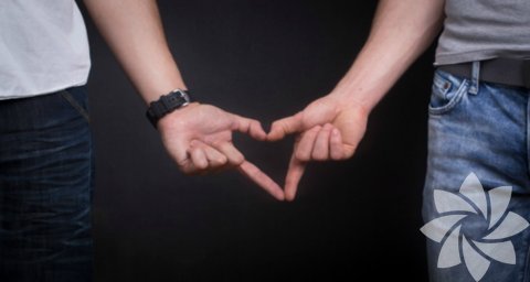 Homoseksüel: Kendi cinsine ilgi duyan kişi.