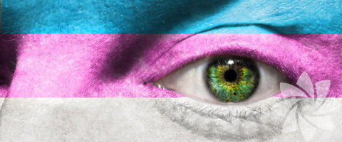 Pomoseksüel: Postmodern seksüelin kısaltılmışıdır. Pomoseksüel kişi transseksüel, homoseksüel ve bunun gibi cinsel yönelimleri belirten etiketleri kullanmaktan kaçan kişiye denir. Cinsiyet kavramına karşı duran kişilerin kendini ifade şekli de denilebilir.