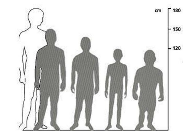 Gelişme: Buluğ çağına kadar kızlar erkeklerden daha hızlı büyürler (10'a 8 oranında). Erkek çocuklar 14-15 yaşları arasında gelişmeye başlarlar ve 20 yaşına kadar bu büyüme gerçekleşebilir. Kız çocukları en hızlı 12-13 yaşları arasında gelişirken 17-18 yaşında bu gelişme durur.