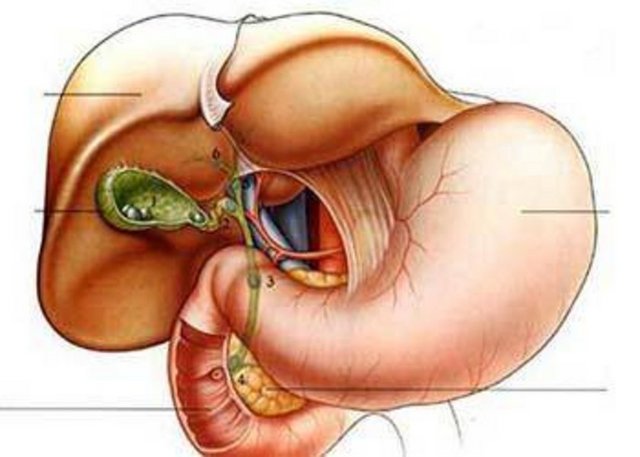 Safra kesesi taşı: Kadınların yüzde 20'sinde, erkeklerin yüzde 8'inde safra kesesi taşı oluşur.
