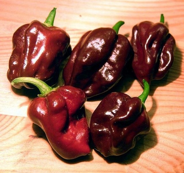 Acılık Ölçeği: 937 SHU