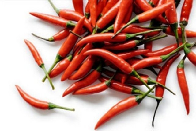 İşte "Her tür acıyı yerim" diyenleri bile zorlayacak biber türleri ve özellikleri: (SHU: Biberlerin acılık birimi)