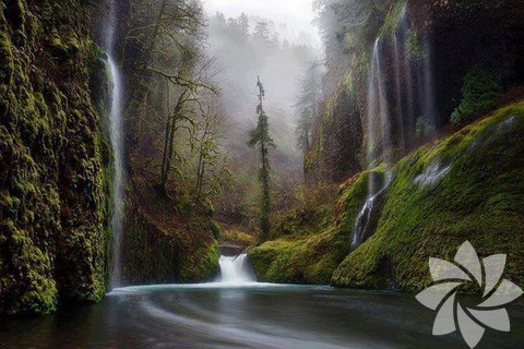 Gorge Columbia Nehri , Oregon
