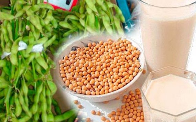 Bu nedenle fındık, doğal yoğurt ve soya sütü gibi bol proteinli gıdalar yendiğinde vücut daha fazla enerji kullanıyor ve ısınmamıza yardımcı oluyor.