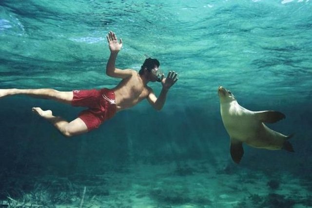 Genç Kanadalı 6 ay boyunca yaşayacağı adada, zamanının tamamını doğal ortamdaki hayvanlar, sahil, deniz ve güneşle geçirip, üstüne de 100 bin dolar kazanacak.