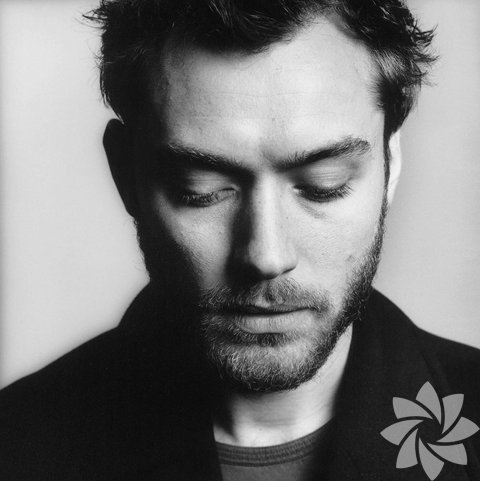 Jude Law