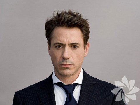 Robert Downey Jr.