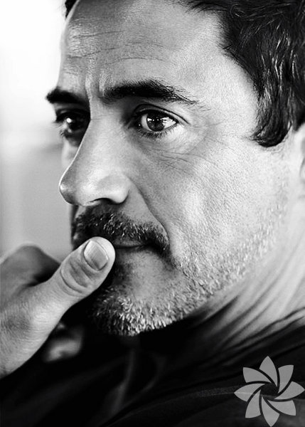 Robert Downey Jr.