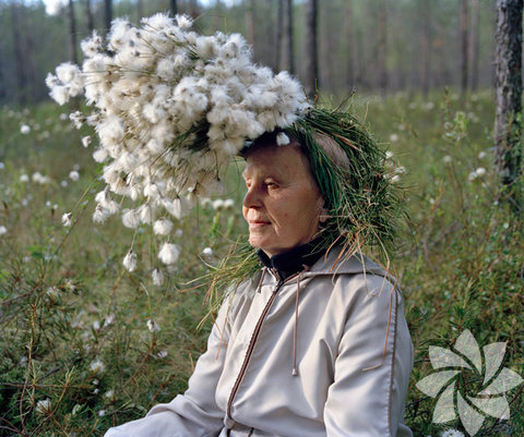 Devlet, 17 yaşının üstündeki tüm öğrencilere ödenek ve kredi desteği vermektedir.[