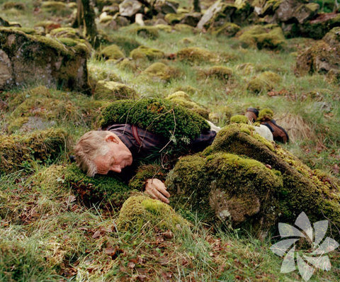 Finlandiya topraklarının en büyük özelliği arazi yapısıdır. Ülkenin çoğunluğu ovadan oluşur.