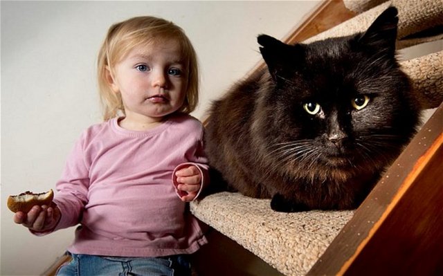 Haberi İngiliz basınında yer alan Shiny ise kendisini görüntüleyen Daily Mail Gazetesi muhabirlerine birbirinden masum ve şirin pozlar verdi.