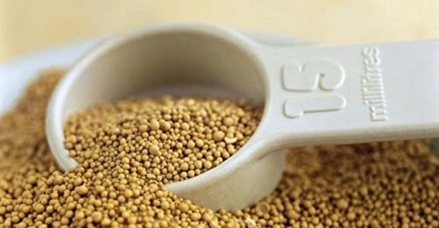 Bira mayası: Eğer sindirebilirseniz bira mayası anti depresan yiyecekler içinde en iyilerindendir. Bol miktarda aminoasit ve mineral içerirler. Fakat bazı ilaç ve gıdalarla tüketildiğinde yüksek tansiyona sebep olabilir.