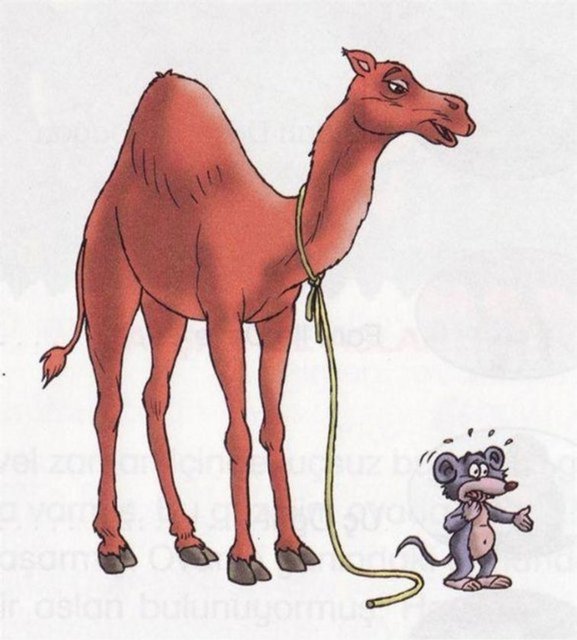 Bir fare bir deveden daha uzun süre susuzluğa dayanabilir.