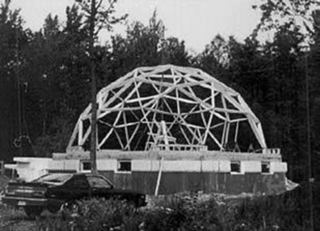 Dodekahedron ile ikosahedron, tek hücreli deniz yaratıkları olan ışınlıların silisten yapılma iskeletlerinde de ortaya çıkar. -