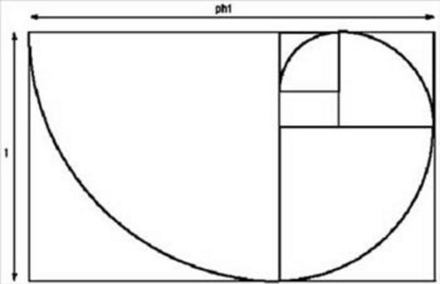 Altın Dikdörtgen ve Sarmallardaki Tasarım; - Uzun kenarı 1,618 birim kısa kenarı 1 birim olan bir dikdörtgen altın dikdörtgendir. Bu dikdörtgenin kısa kenarının tamamını kenar kabul eden bir kare ve hemen ardından karenin iki köşesi arasında bir çeyrek çember çizelim. Kare çizildikten sonra yanda kalan küçük bir kare ve çeyrek çember çizip bunu asıl dikdörtgenin içinde kalan tüm dikdörtgenler için yapalım. Bunu yaptığınızda karşınıza bir sarmal çıkacaktır. Doğada bu sarmallara ayçiçeği ya da kozalaklardaki dizilimleri örnek olarak verebiliriz. -