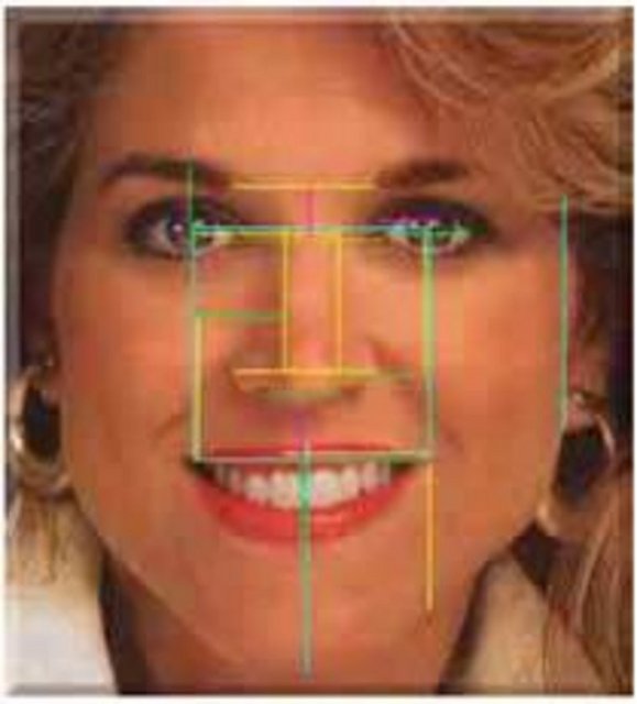 İnsan yüzünde Altın Oran; - İnsan yüzünde de Altın oranı görmekteyiz.Yüzde görülen altın oranın elde görülen altın oran gibi ölçümü yapılamamaktadır. Çünkü yüzdeki altın oran bilim adamları ve sanatkarların beraberce kabul ettikleri "ideal bir insan yüzü" için geçerlilik göstermektedir.