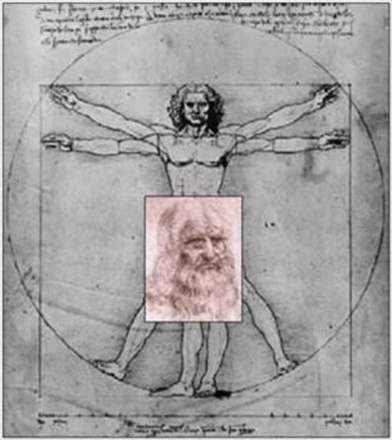 İnsan bedeninde Altın Oran; - İnsan Bedeninin çeşitli kısımları arasında var olduğu öne sürülen ve yaklaşık altın oran değerlerine uyan "ideal" orantı ilişkileri genel olarak bir şema halinde gösterilmektedir.