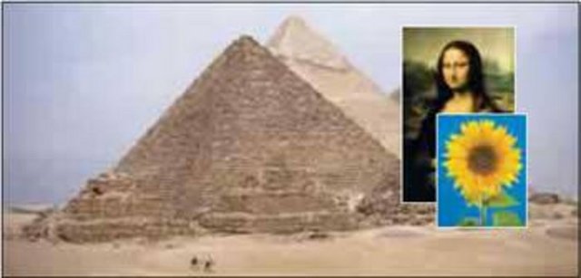 Mısır'daki piramitler, Mimar Sinan'ın eserleri Leonardo da Vinci'nin Mona Lisa adlı tablosu, ay çiçeğindeki çekirdekler, salyangoz, çam kozalağı, insan vücudu, DNA, kar kristalleri, deniz kabukları, ve uzay arasındaki ortak özellik nedir? Cevabı çok basit: ALTIN ORAN = 1,618.