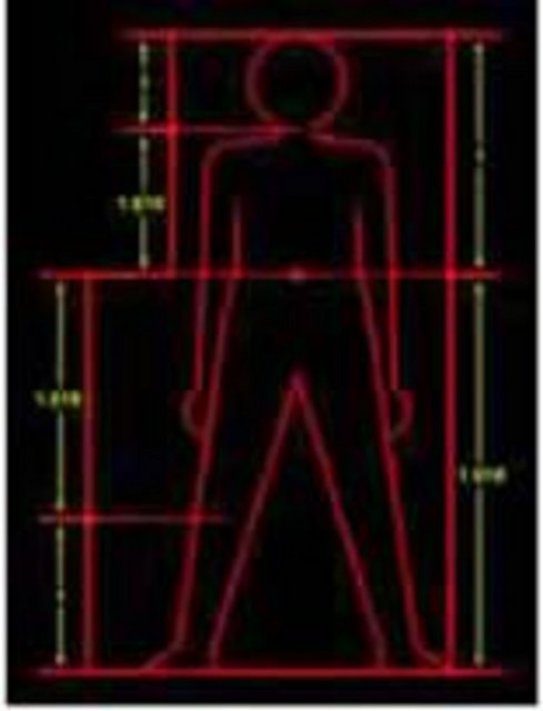 İnsan vücudunda Altın Oran; - Leonardo da Vinci ve Corbusier tasarımlarını yaparken altın orana göre belirlenmiş insan vücudunu ölçü almışlardır. Günümüz mimarlarının en önemli başvuru kitaplarından biri olan Neufert'te de altın orana göre belirlenmiş insan vücudu temel alınmaktadır. -