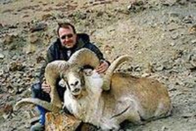 Sarmal Formda Gelişen Boynuzlar ve Dişler; - Filler ile soyu tükenen mamutların dişleri, aslanların tırnakları ve papağanların gagalarında, örümcek ağlarının sarmal bir yay şeklinde yapılandığını görmekteyiz, burada da altın orana rastlanır. Eperia örümceği de ağını daima logaritmik sarmal şeklinde örer. -  -