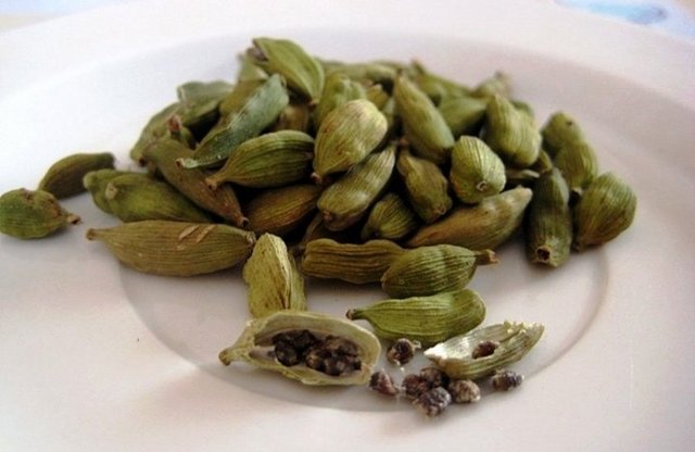 Özellikle karaciğerimizde kanser yapıcı maddelerin birikmesini önler, karaciğerimizi de korur. Kısacası kanser için büyük bir şifa kaynağı olması da bitkinin faydaları arasındadır.