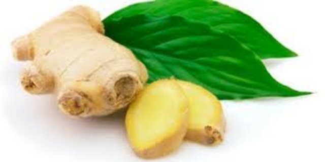 Soğuk algınlığına iyi gelen zencefil, balgam söktürür ve iyileşmeyi hızlandırır.