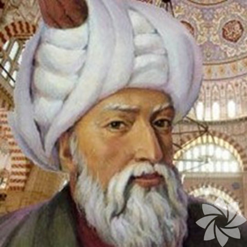 Ne var ki II. Murad'ın eşi Safiye Sultan, namı diğer Venedikli Safiye, Sokullu Mehmed Paşa'dan hoşlanmıyordu. Sokullu Mehmed Paşa'nın varlığı, devlet işlerinde daha fazla söz sahibi olmak isteyen Safiye Sultan'ı huzursuz ediyordu. 