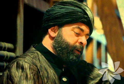 Safiye Sultan bir yeniçeri görevlendirdi ve derviş kılığına giren yeniçeri bir ikindi divanı çıkışında, Sokullu Mehmed Paşa'yı kalbinden hançerledi. Boyu iki metreyi aşan Sokullu Mehmed Paşa yere devrildi. Katil askerler tarafından hemen orada katledilirken, tüm çabalara rağmen Sokullu Mehmed Paşa kurtarılamadı. Türbesi bugün Eyüp'tedir. 