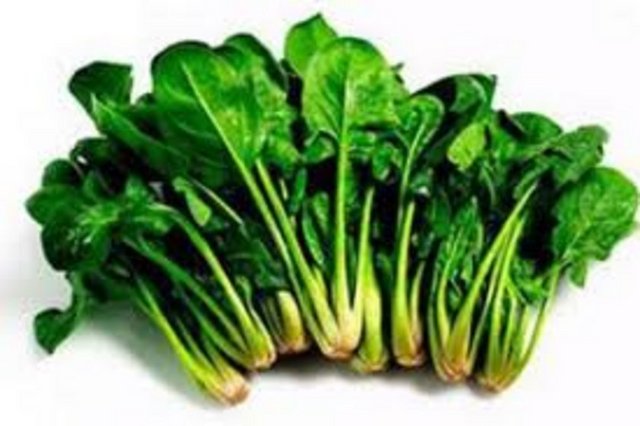 Lifli bir sebze olan ıspanak, A ve C vitaminin yanı sıra, kalsiyum, demir ve folik asit kaynağıdır.