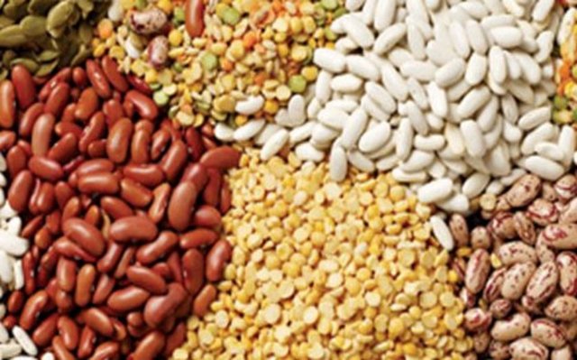 Ete eşdeğer nitelikte yüksek bir protein deposu olan kuru fasulye ve mercimek, sinir sistemini dengede tutar, enerji verir.