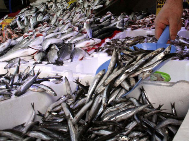 Kumkapı Balık Hali'nde fiyatlar 5 lira civarında düştü.