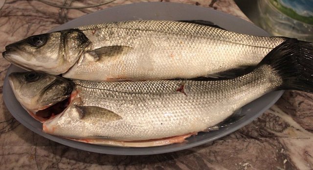 Deniz levreği: 30 TL (kilo)