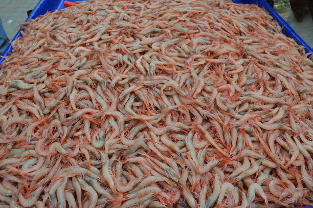 Karides: 25 TL (kilo)