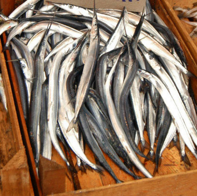 Zargana: 35 TL (kilo)