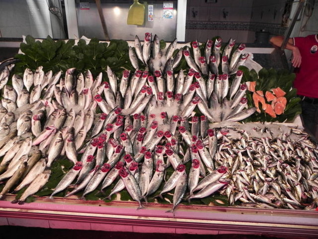 Geçen hafta etkili olan şiddetli fırtına dinince balık bereketi yaşandı. -