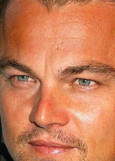 Leonardo DiCaprio