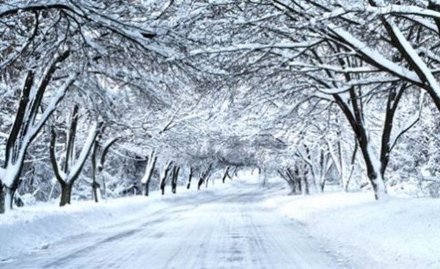 Kar körlüğünün gözlerde oluşturduğu tahribatın ve rahatsızlığın etkisini en aza indirmek için Göz Sağlığı ve Hastalıkları Uzmanı Dr. Eroğlu'nun tavsiyeleri ise şöyle: